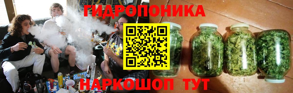 МАРИХУАНА конопля Коряжма
